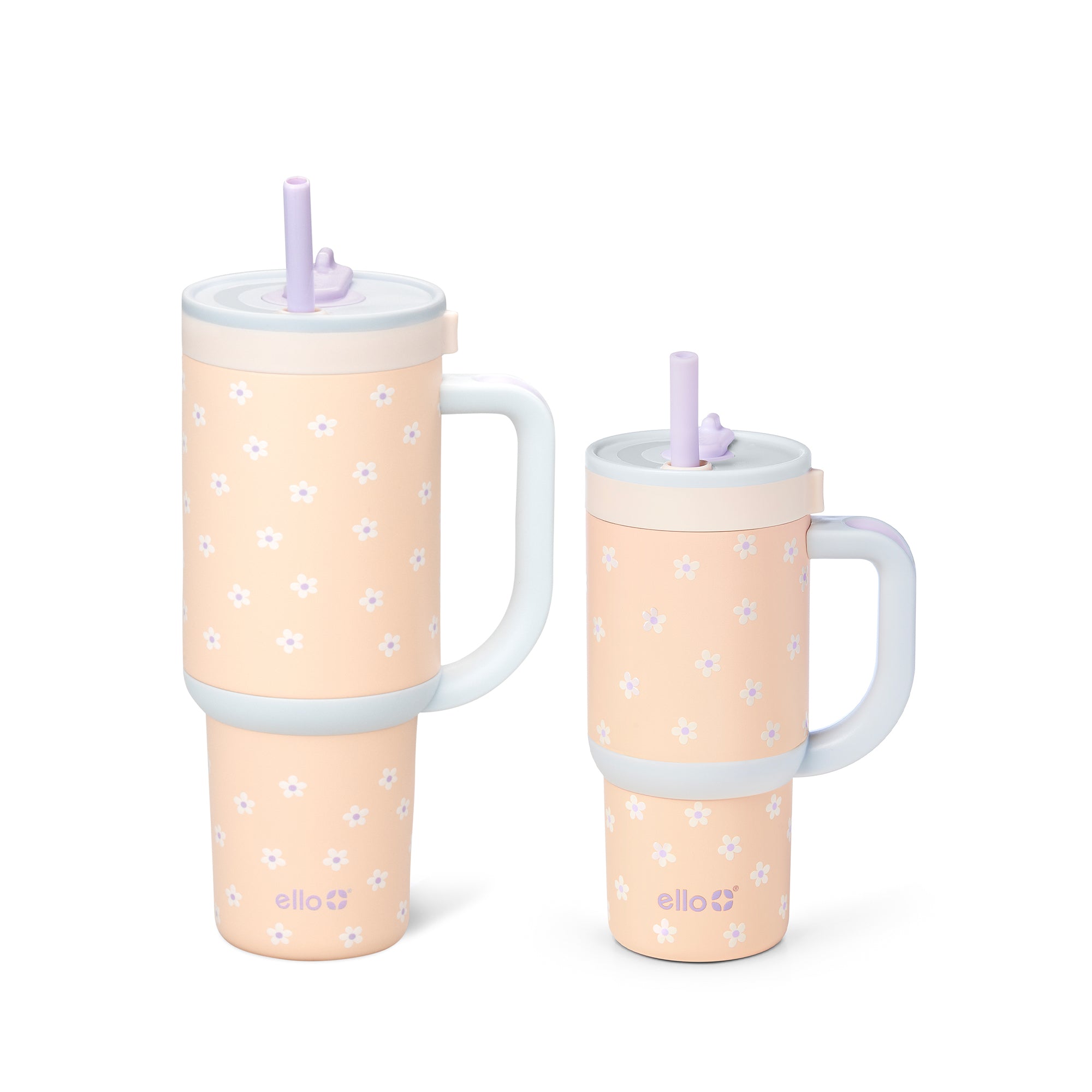 Oasis-daises-Bundle.jpg